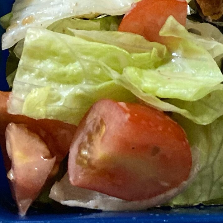 弁当野菜♪レタスとプチトマトのサラダ